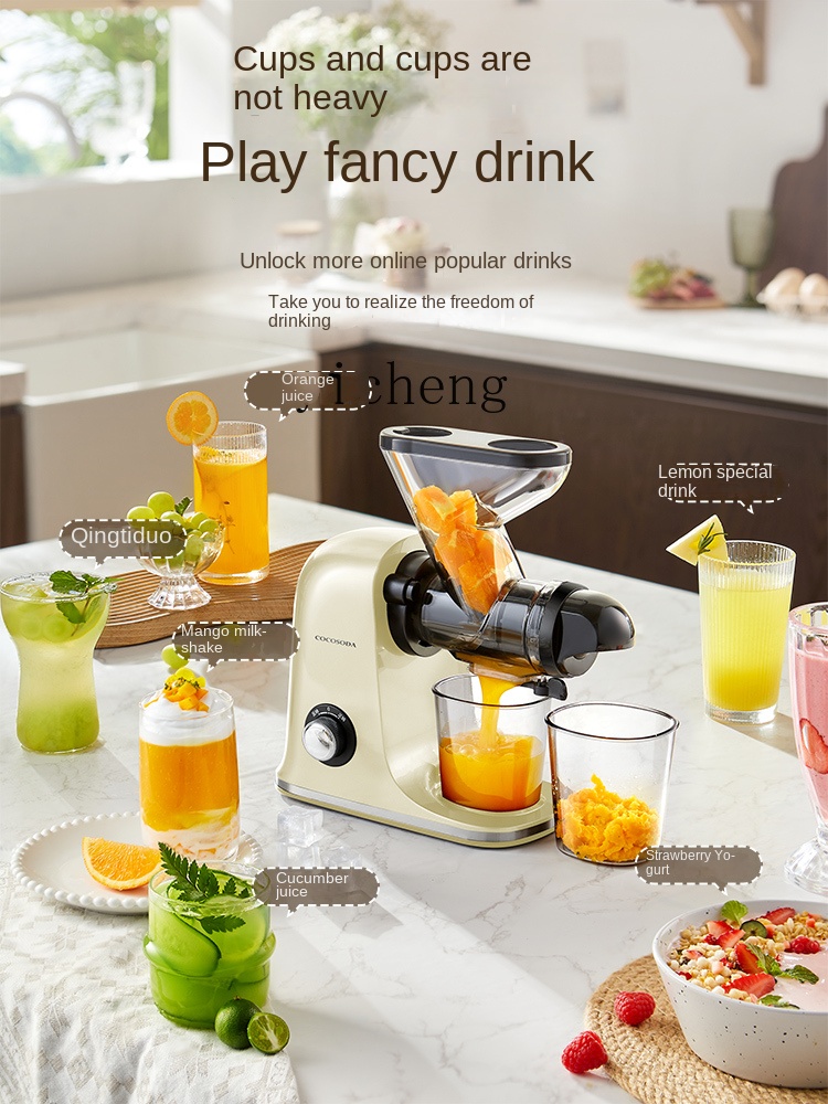 CC28 Langsamlaufender Entsafte – Juicer Bewertung und Preis