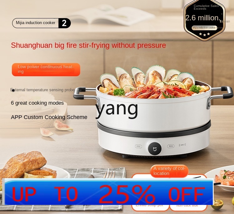 LMM Induktionskochfeld für den – Induction Cooker Bewertung und Preis